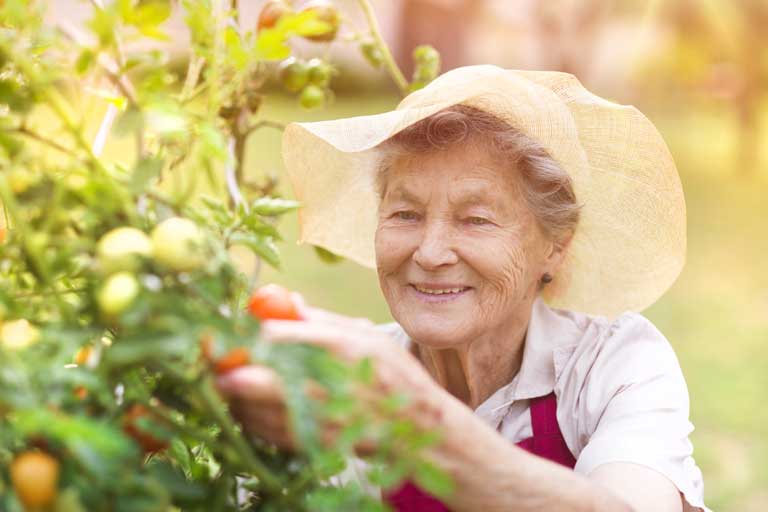 senior gardening